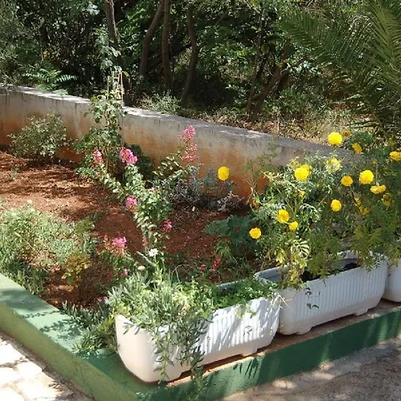 Studio Apartment In Starigrad-Paklenica I Seline